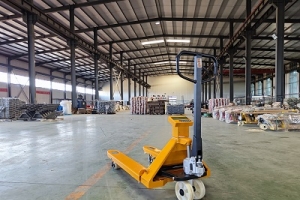 電子稱叉車：解決常見問題的實(shí)用指南